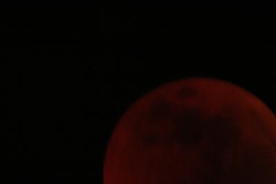 img_8290.jpg